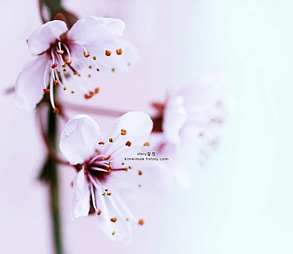 4월 인사말 문구