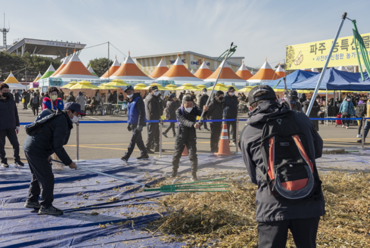 파주장단콩축제