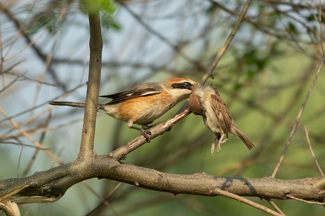 청남대관람온라인예매