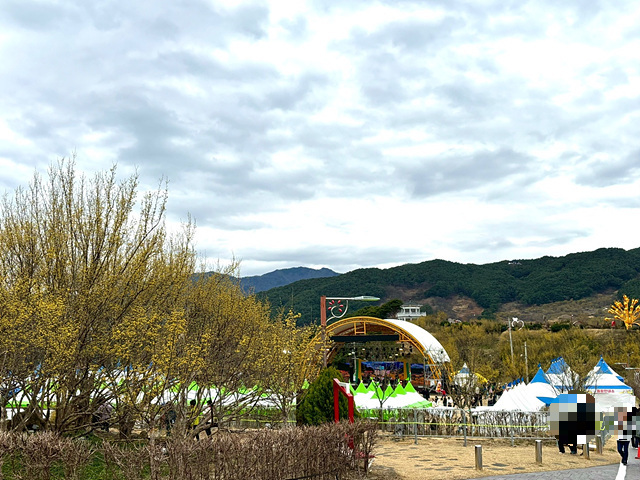 구례 산수유축제 기간, 실시간, 추천 코스, 주차장, 행사장 음식 정보