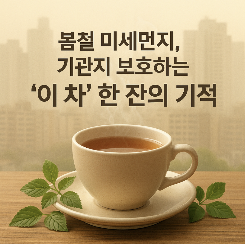 봄철 미세먼지, 기관지 보호하는 '이 차' 한 잔의 기적