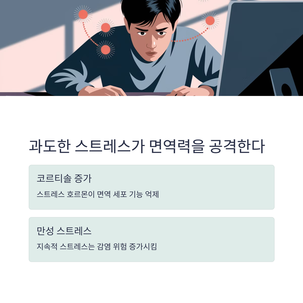 과도한 스트레스: 면역 체계를 공격하는 원인