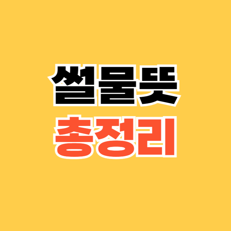 썰물뜻