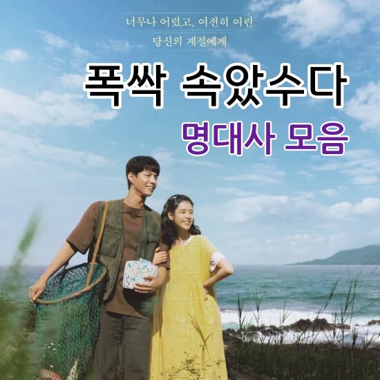 ‘폭싹 속았수다’ 명대사 모음 섬네일 이미지