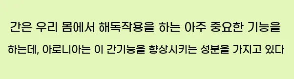  간은 우리 몸에서 해독작용을 하는 아주 중요한 기능을 하는데, 아로니아는 이 간기능을 향상시키는 성분을 가지고 있다