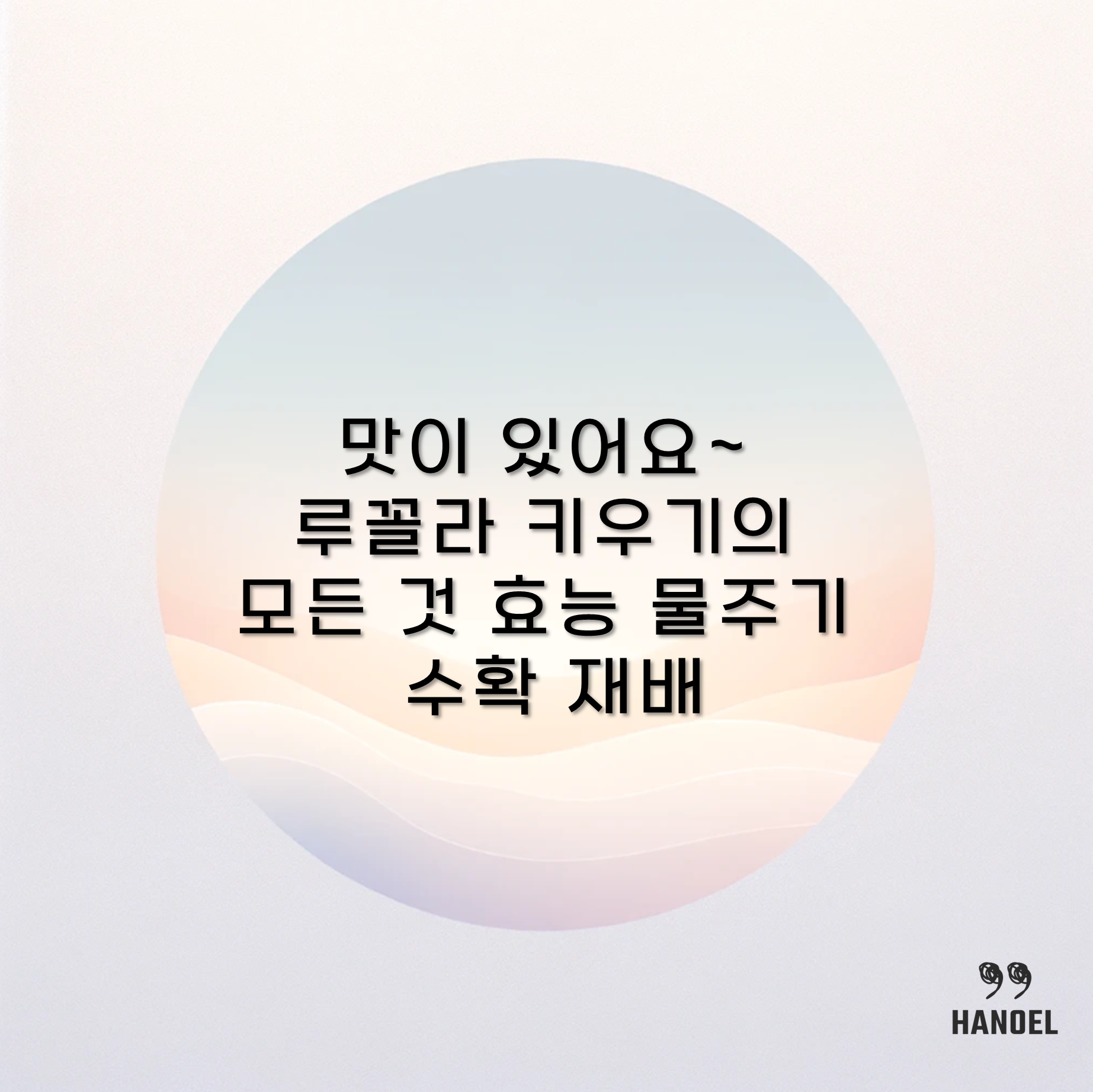 맛이 있어요~ 루꼴라 키우기의 모든 것 효능 물주기 수확 재배