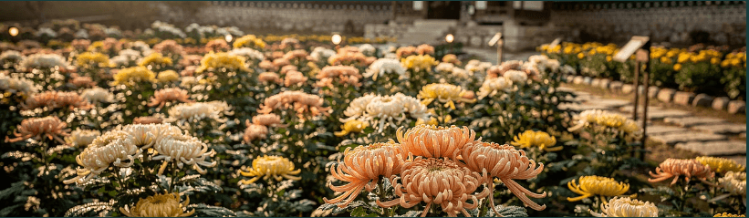 가을꽃 종류 5가지