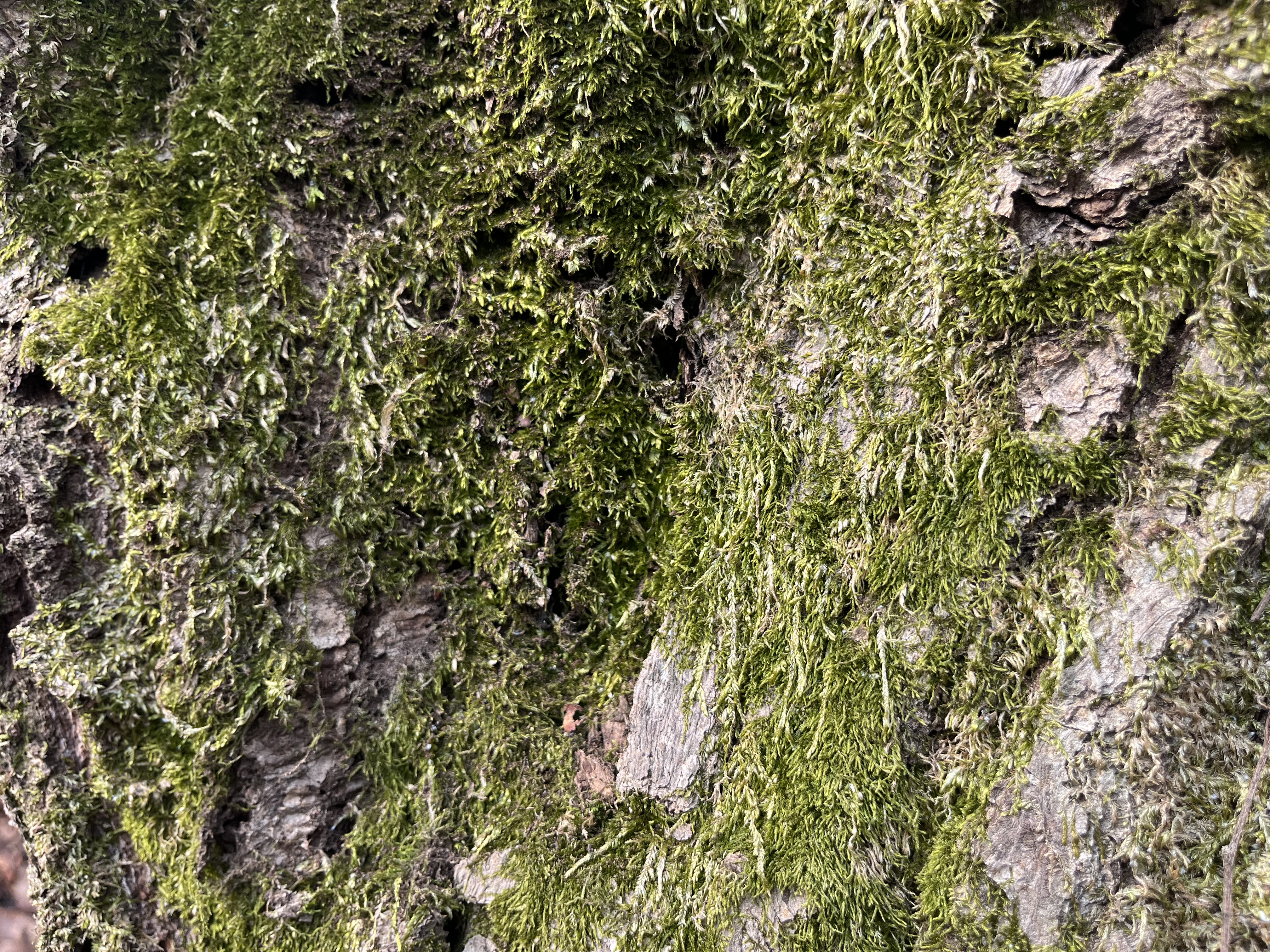 계절마다 달라지는 나무의 표정