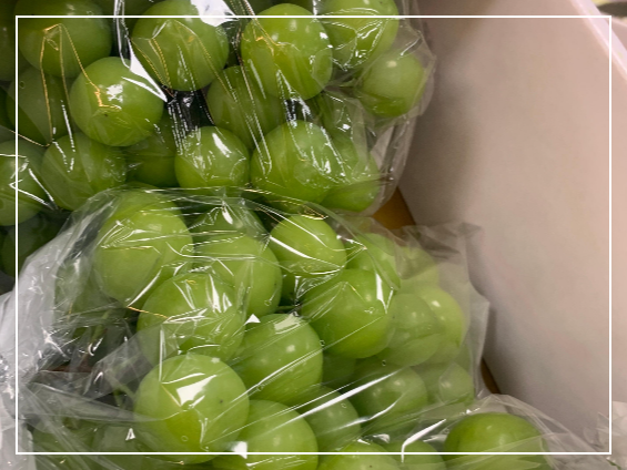 샤인머스켓의 효능