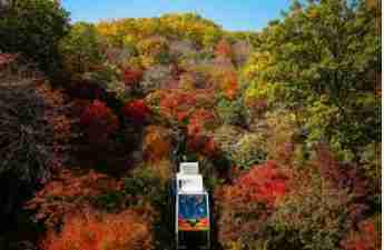 화담숲 모노레일 예약 3분 완벽 가이드