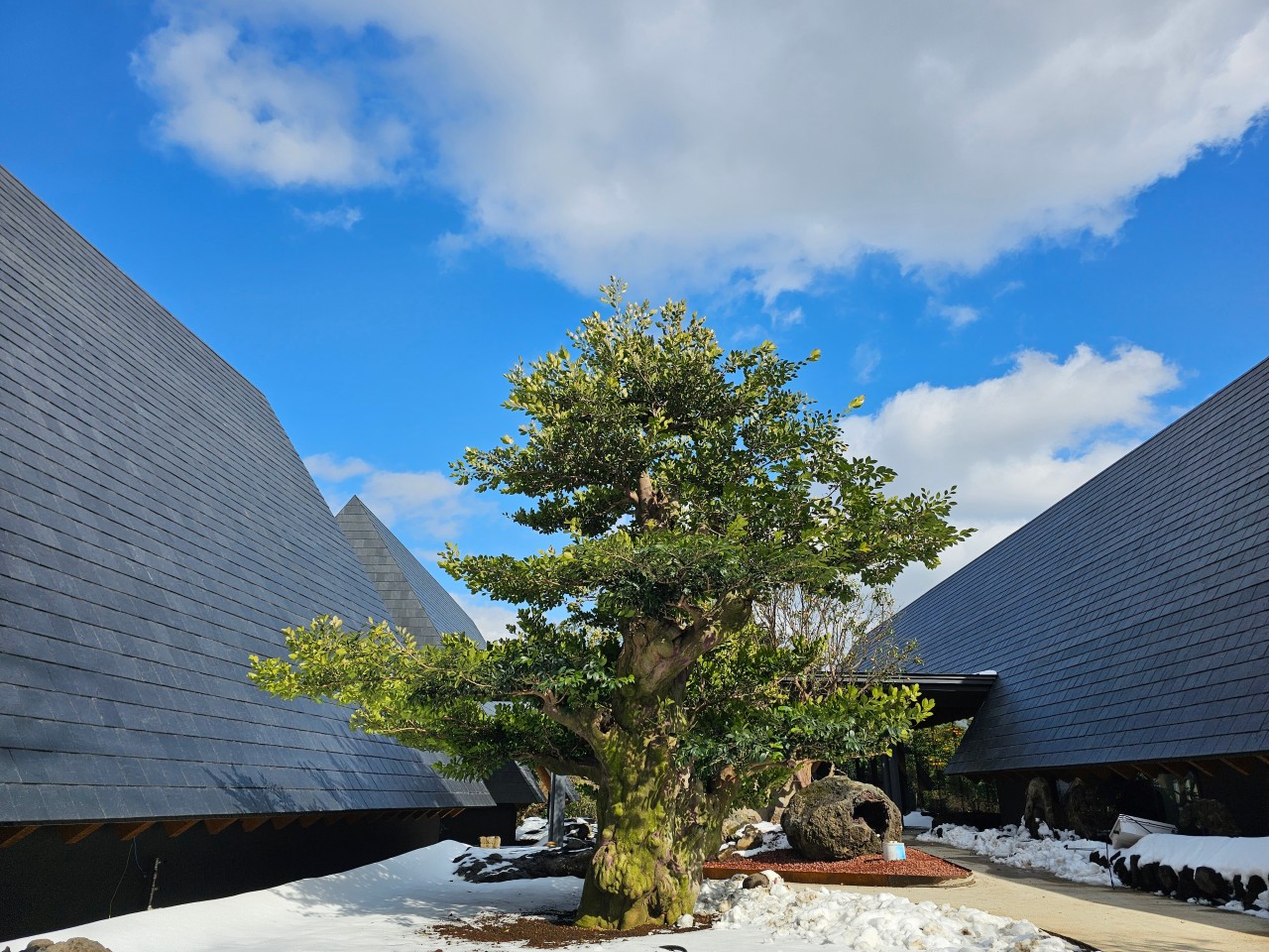 카페 외부 전경 사진