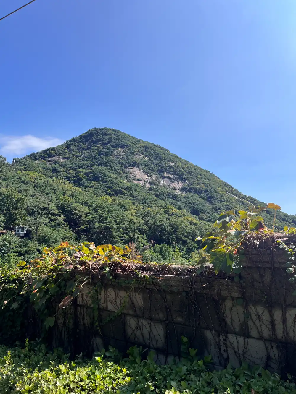 인왕산_둘레길에서_본_인왕산_정상
