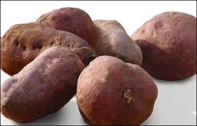 10월 제철 음식-8