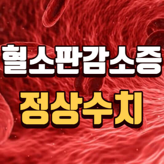 혈소판감소증-수치-증상-치료