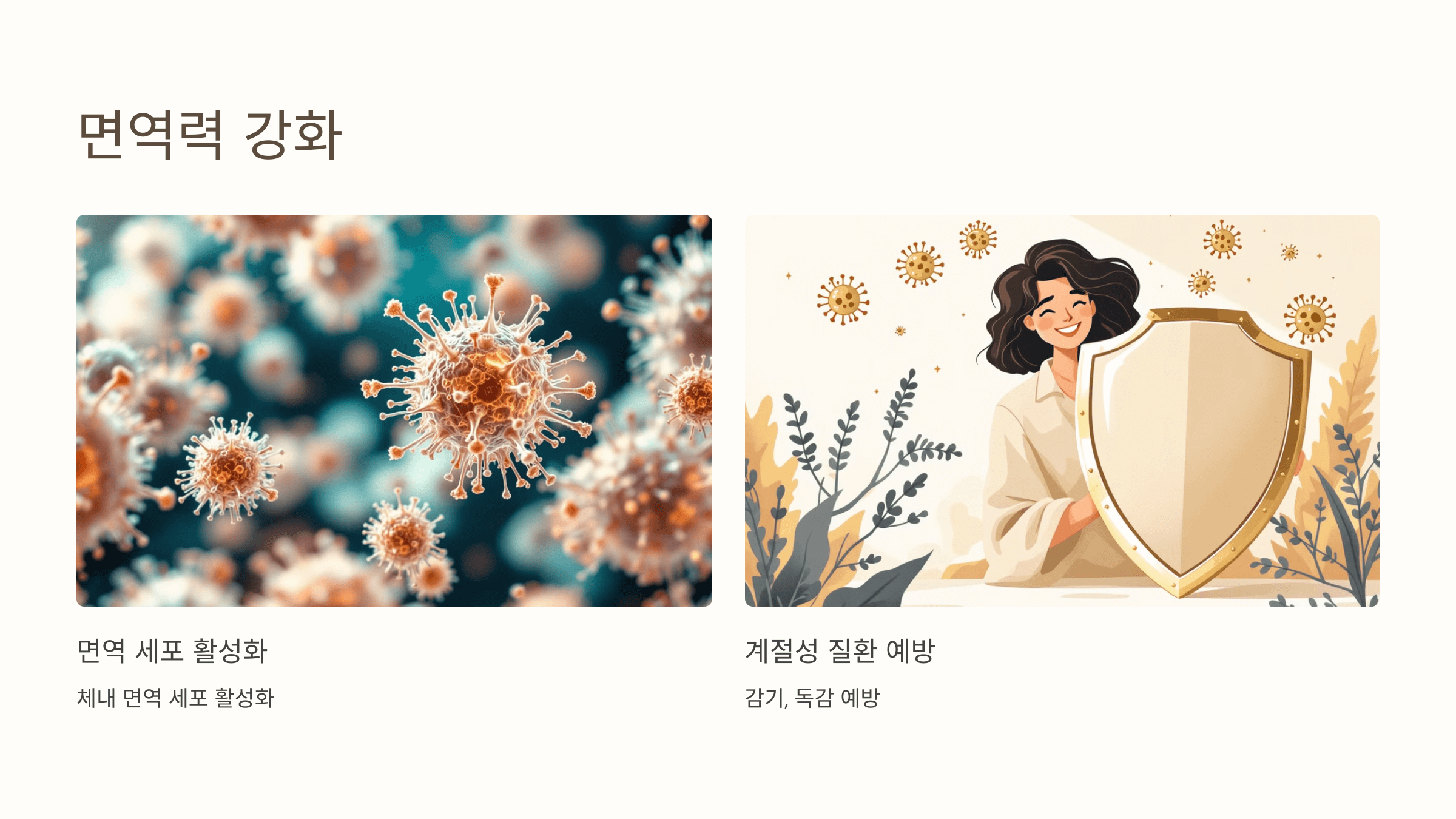 벌나무와 관련된 사진입니다.