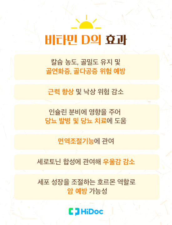 비타민D의 효능