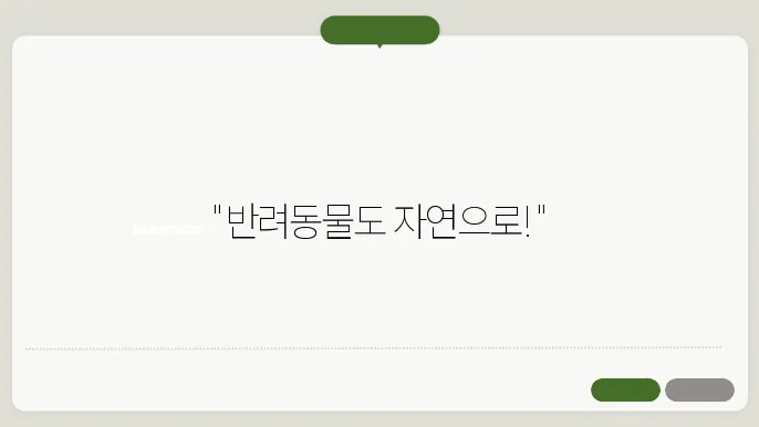 반려동물 디톡스 식단으로 자연 재료로 건강 챙기기