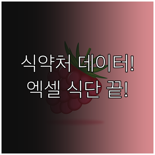 식품의약품안전처 데이터 활용한 엑셀 ..