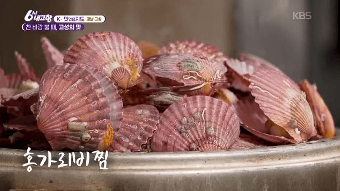 [6시내고향]경남 고성 제철 홍가리비 &amp;#39;계림새우나라&amp;#39; 예약 위치 연락처 정보