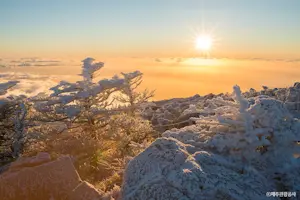 제주도 지역 명소 8선