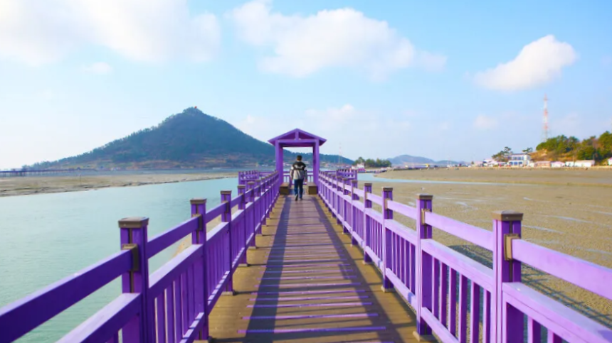 신안 퍼플섬 여행 가이드 - 보랏빛 낭만 속으로!