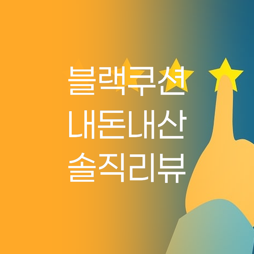 헤라 블랙 쿠션 리필, ✨ 내 피부에