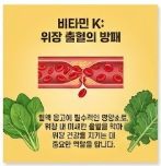 양배추즙의 효능