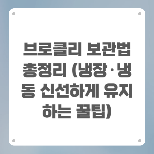 브로콜리 보관법 총정리 (냉장·냉동 신선하게 유지하는 꿀팁)