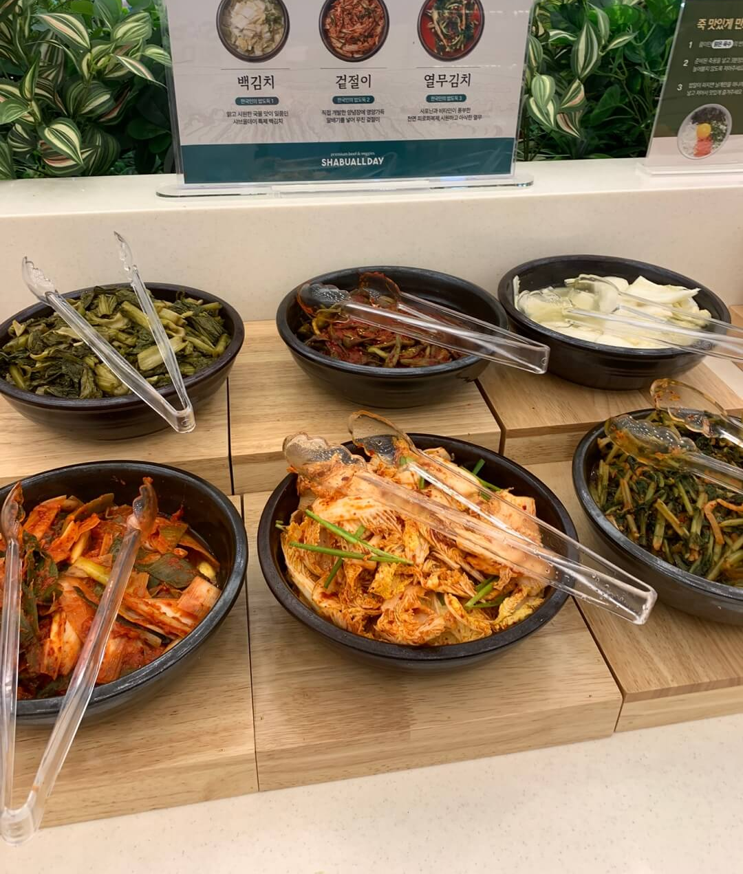 샤브올데이선유