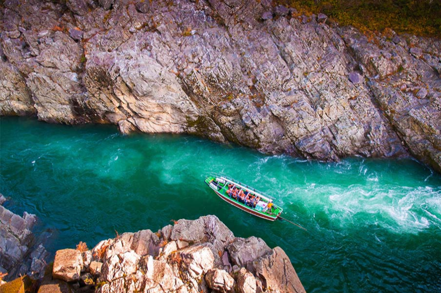 도쿠시마 여행 가이드! 필수 코스 & 맛집 추천