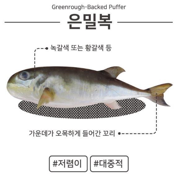 은밀복