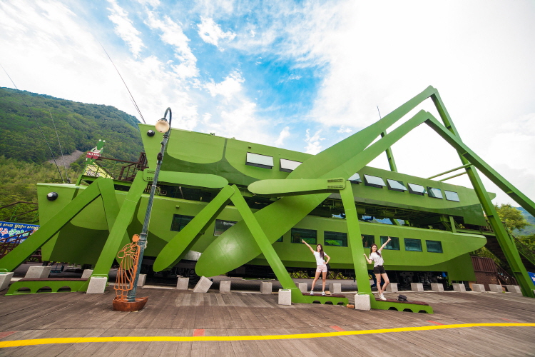 정선 레일바이크