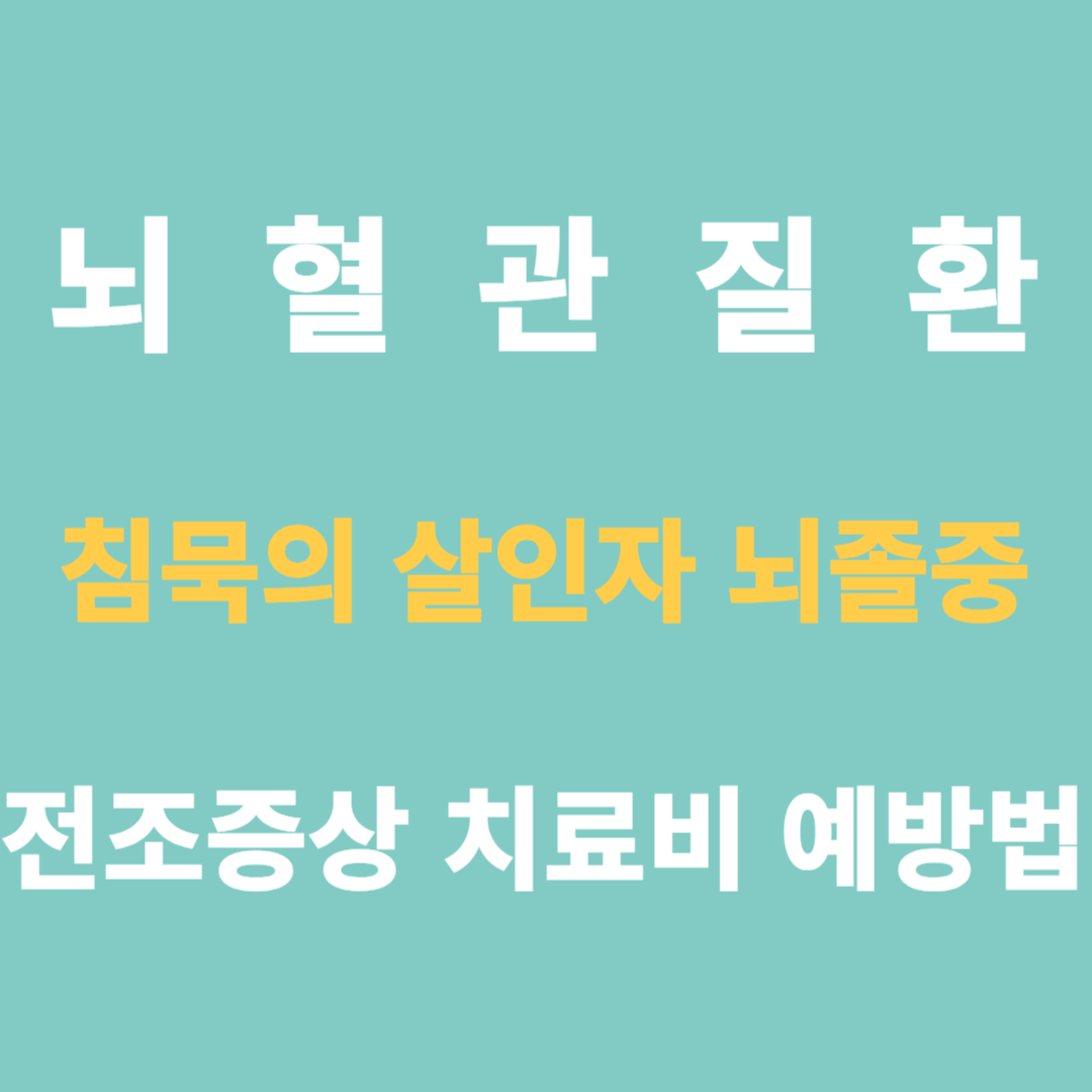 뇌혈관 질환 뇌졸중 전조증상 치료비 예방법