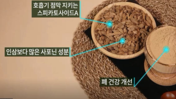 맥문동 효능