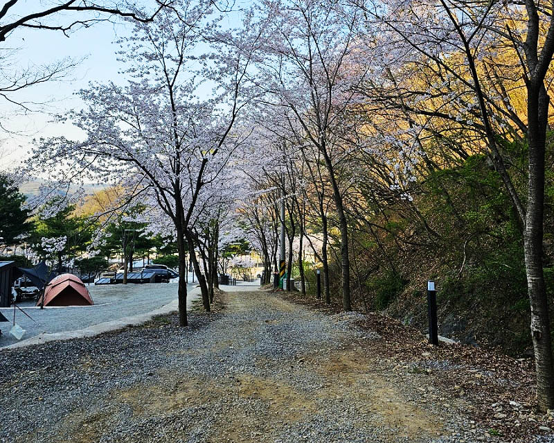 천안 아우내관광농원캠핑장 소개