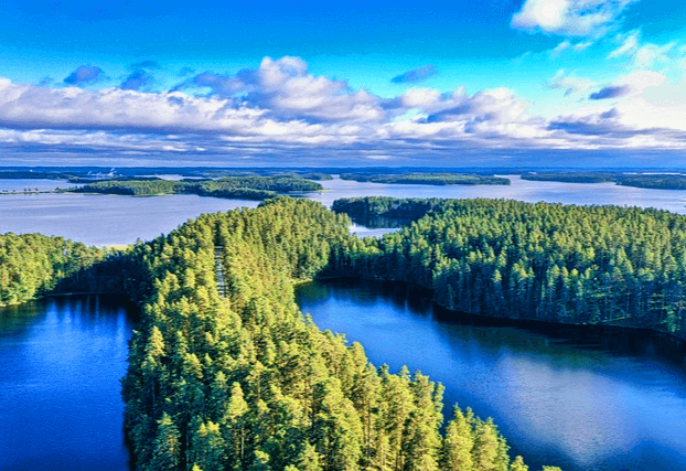 파란 강이 있는 핀란드의 넓은 강과 나무가 빼곡하게 있는 섬의 모습이다.