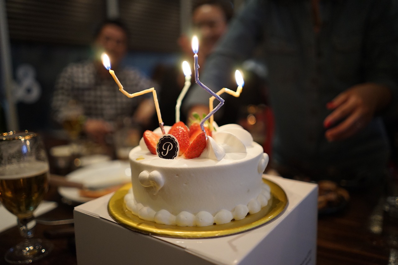 케잌