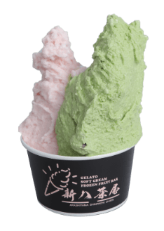 교토/사가노 토롯코 열차 티켓 예매(예약)/가격, 가는법, 운행일/시간표, 맛집까지 총정리!