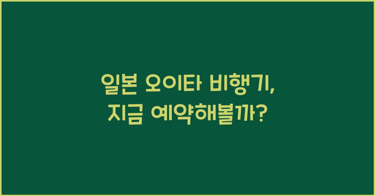 일본 오이타 비행기