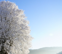 자동차 엔진경고등 원인