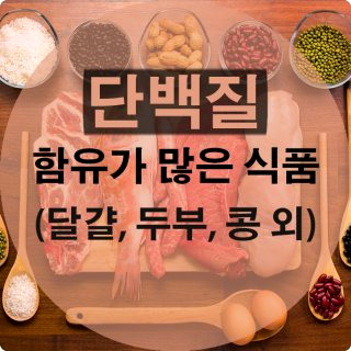 단백질 많은 음식 효능 효과