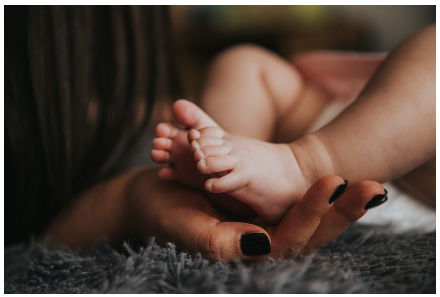 양육비 선지급제