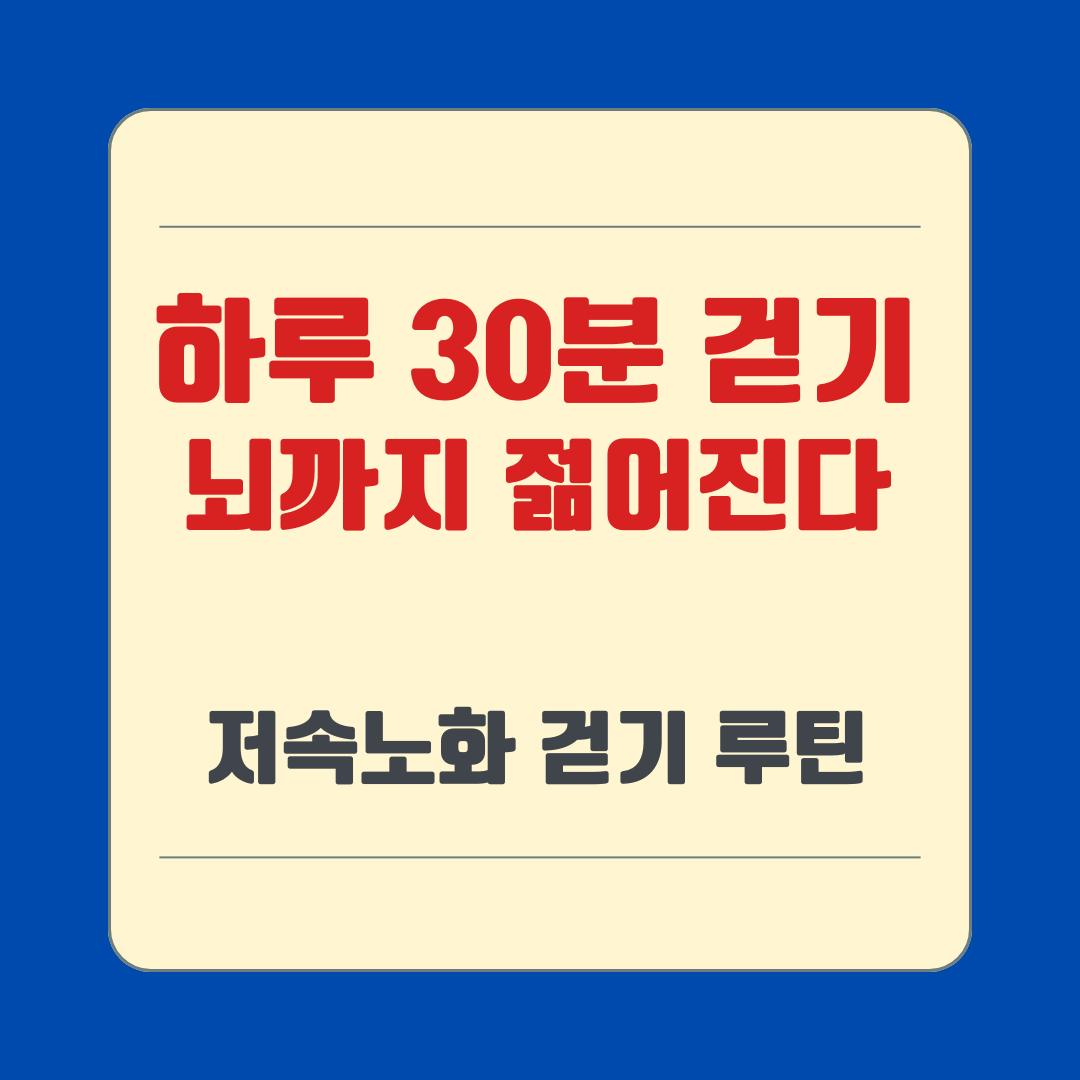 하루 30분 걷기 뇌까지 젊어진다
