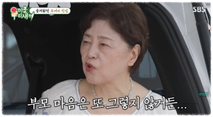 이수 린 이혼 미우새 방송