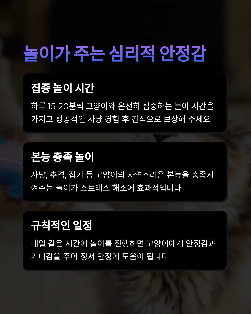 고양이 정서불안 자가진단 테스트 (스트레스 지수 체크표 포함)