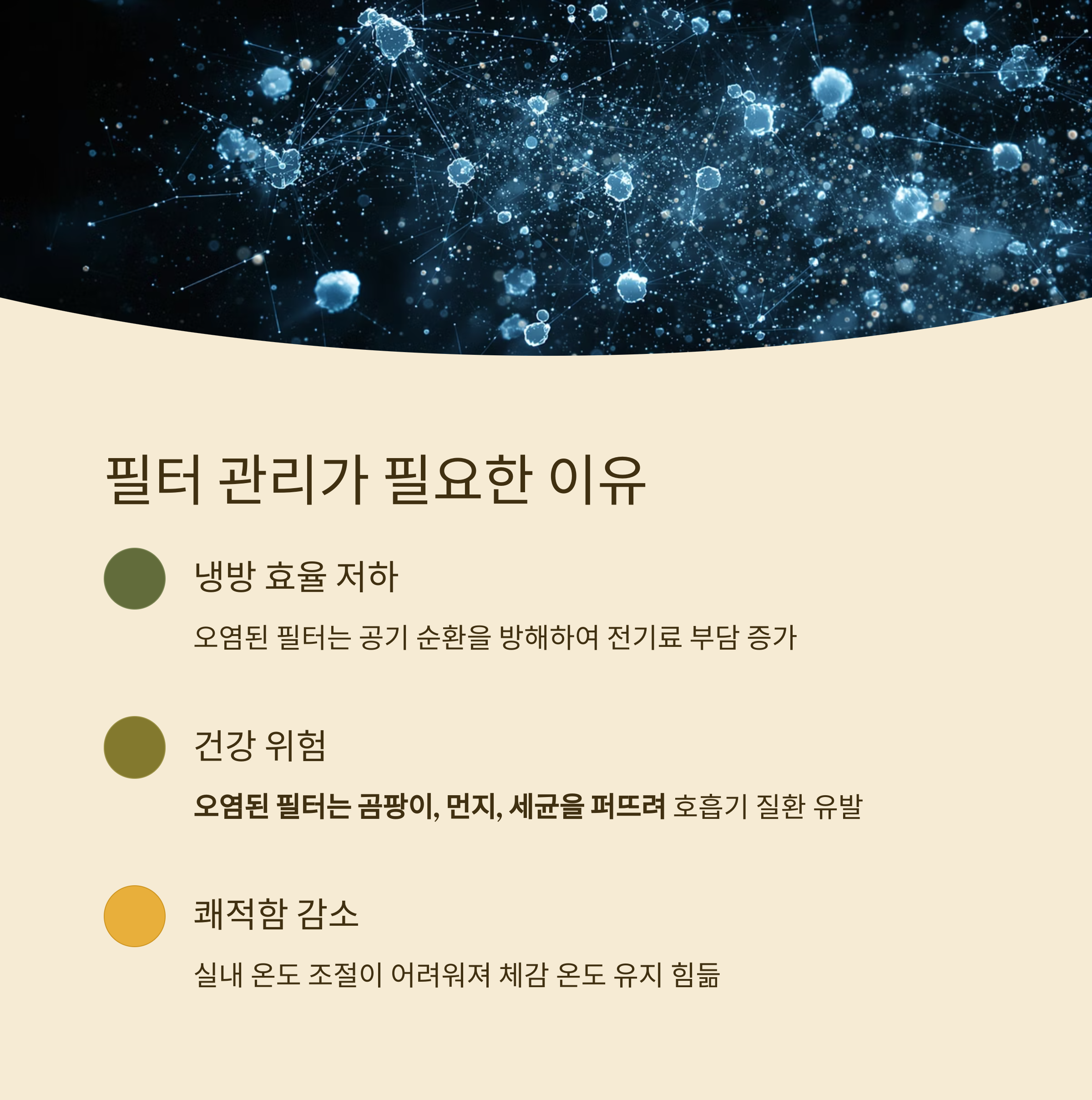 필터 관리가 필요한 이유

냉방 효율 저하

오염된 필터는 공기 순환을 방해하여 전기료 부담 증가

건강 위험

오염된 필터는 곰팡이, 먼지, 세균을 퍼뜨려 호흡기 질환 유발

쾌적함 감소

실내 온도 조절이 어려워져 체감 온도 유지 힘듦