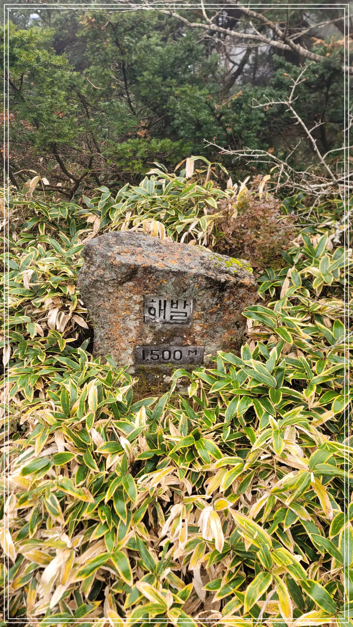 해발 표지석