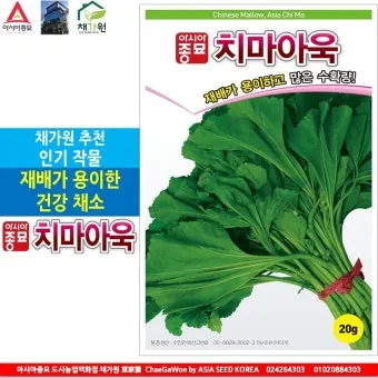 아욱 재배 텃밭 초보 직파 심기 병충해 적음_11