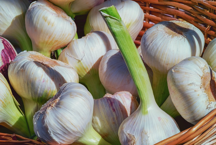 마늘과 함께 먹으면 좋은 과일