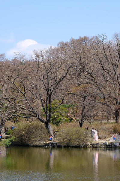 가을공원 한복입은 커플